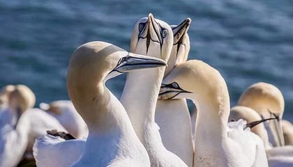 九游娱乐官网 (jiuyou)-中国足球比赛场面纷争不断，球员表现抢眼，我国足球比赛