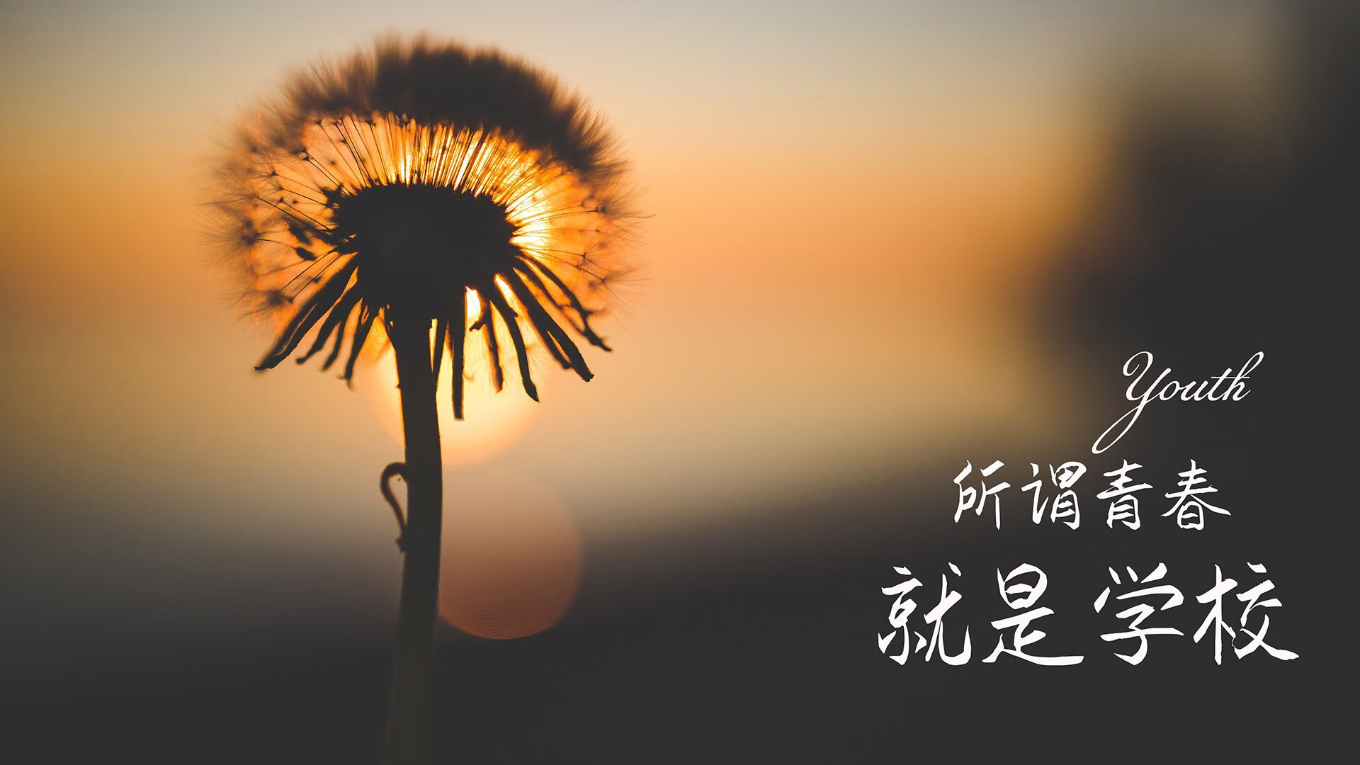 “足球产业链融资不断扩大，行业充满潜力”，足球产业相关上市公司