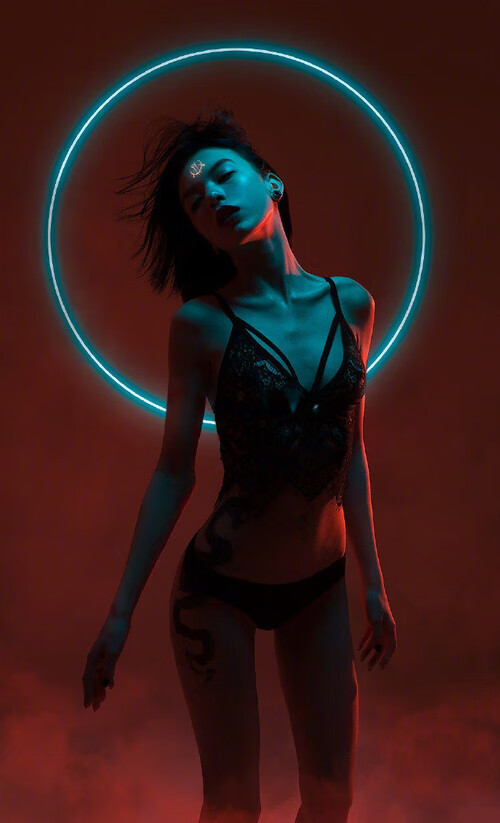 健美锦标赛：力量与美的完美结合，健美竞赛