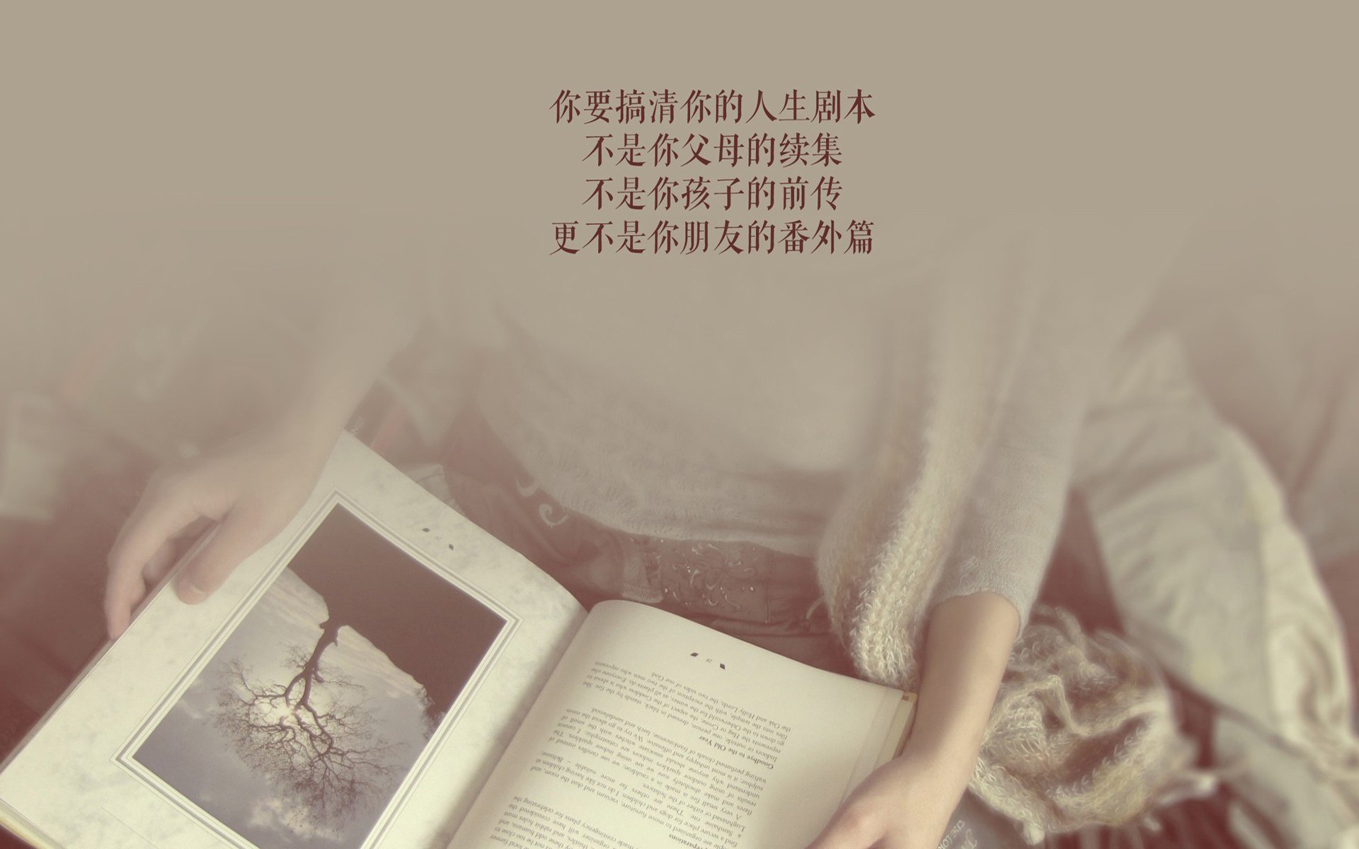 意甲未来之星转会：高价背后有何玄机？，意甲潜力球员