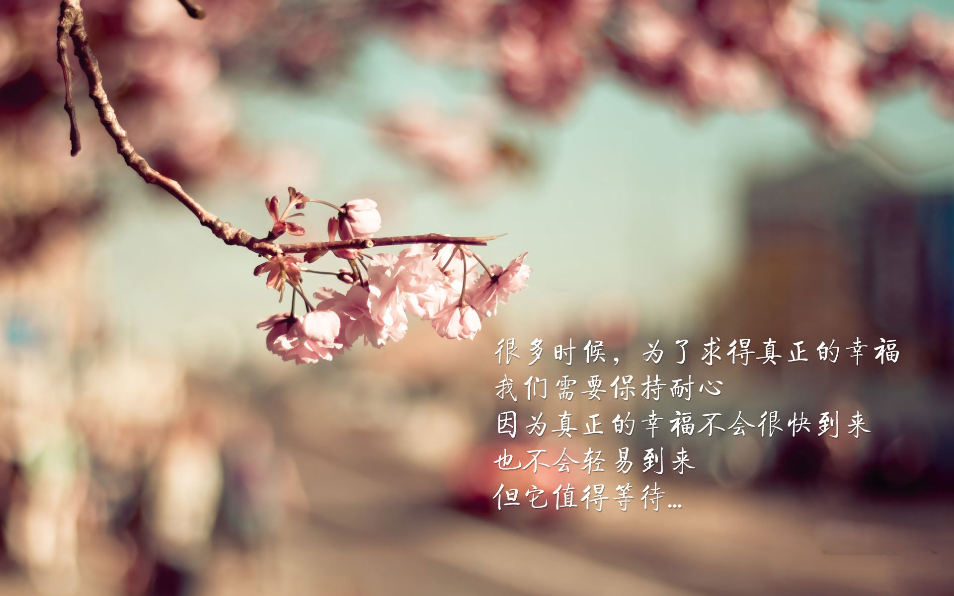 北京国安防守稳定球队士气高涨，北京国安规划球员