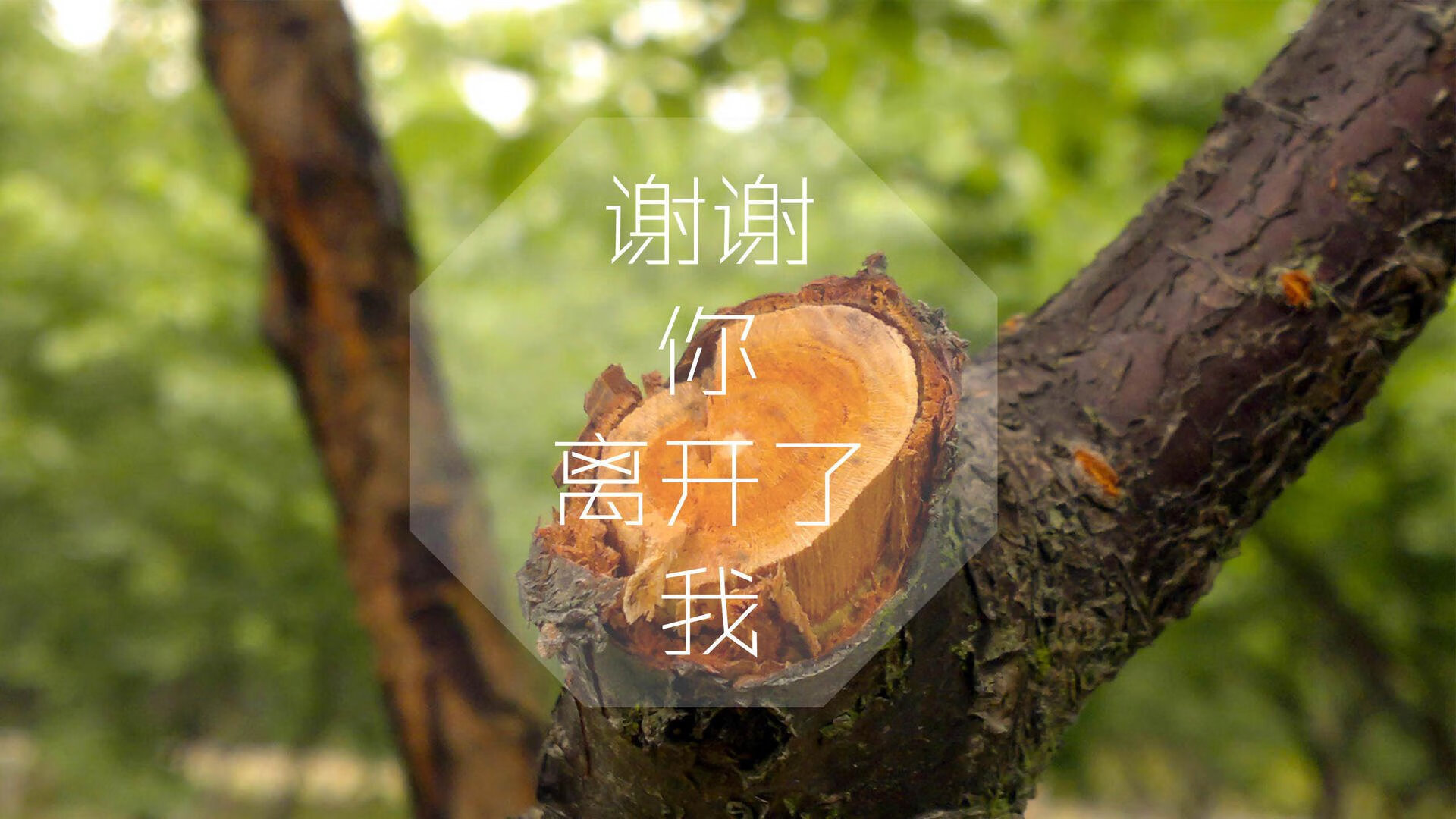 湖人球星恢复健康状态，回归赛场迎来胜利，湖人离队球员再次回归