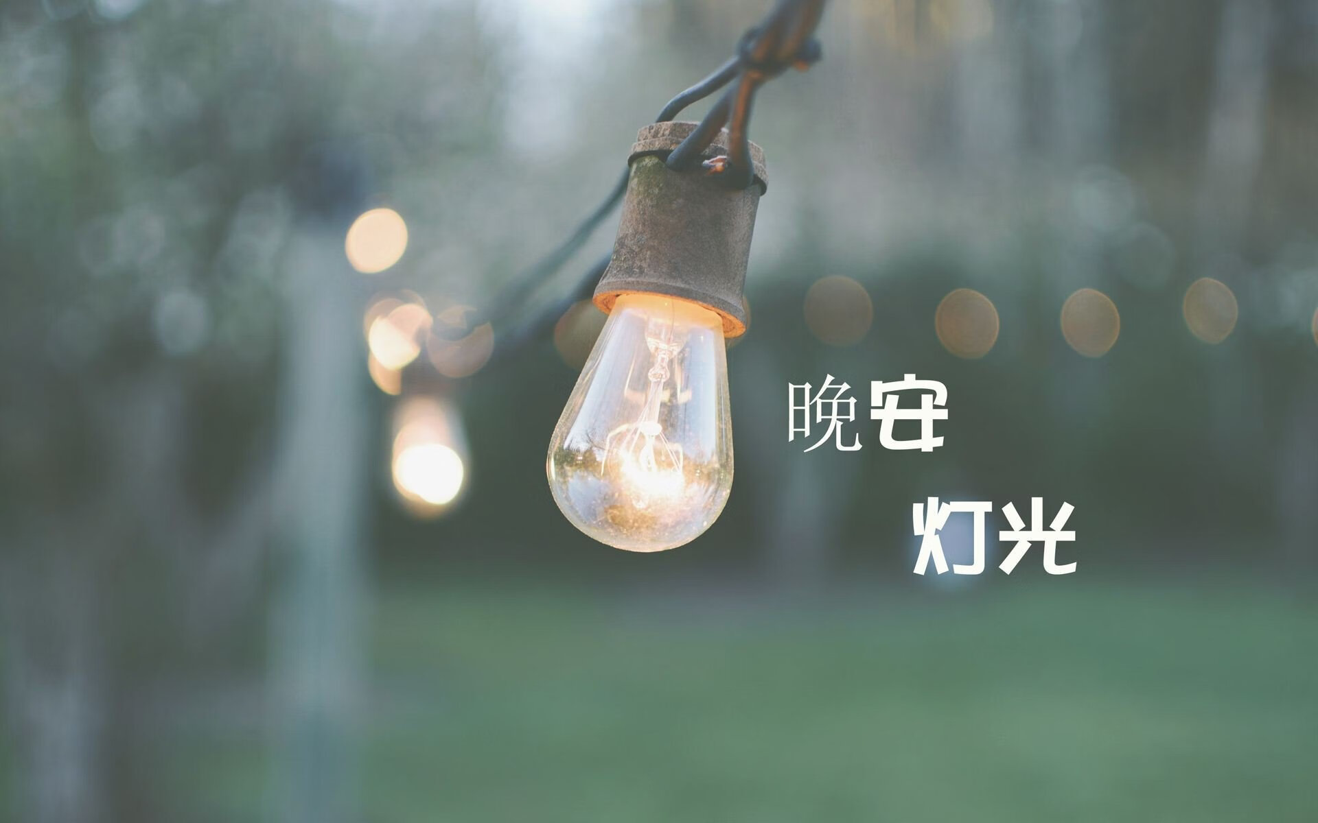 澳大利亚球队备战充分，为夺取胜利牢牢把握，澳大利亚球队阵容