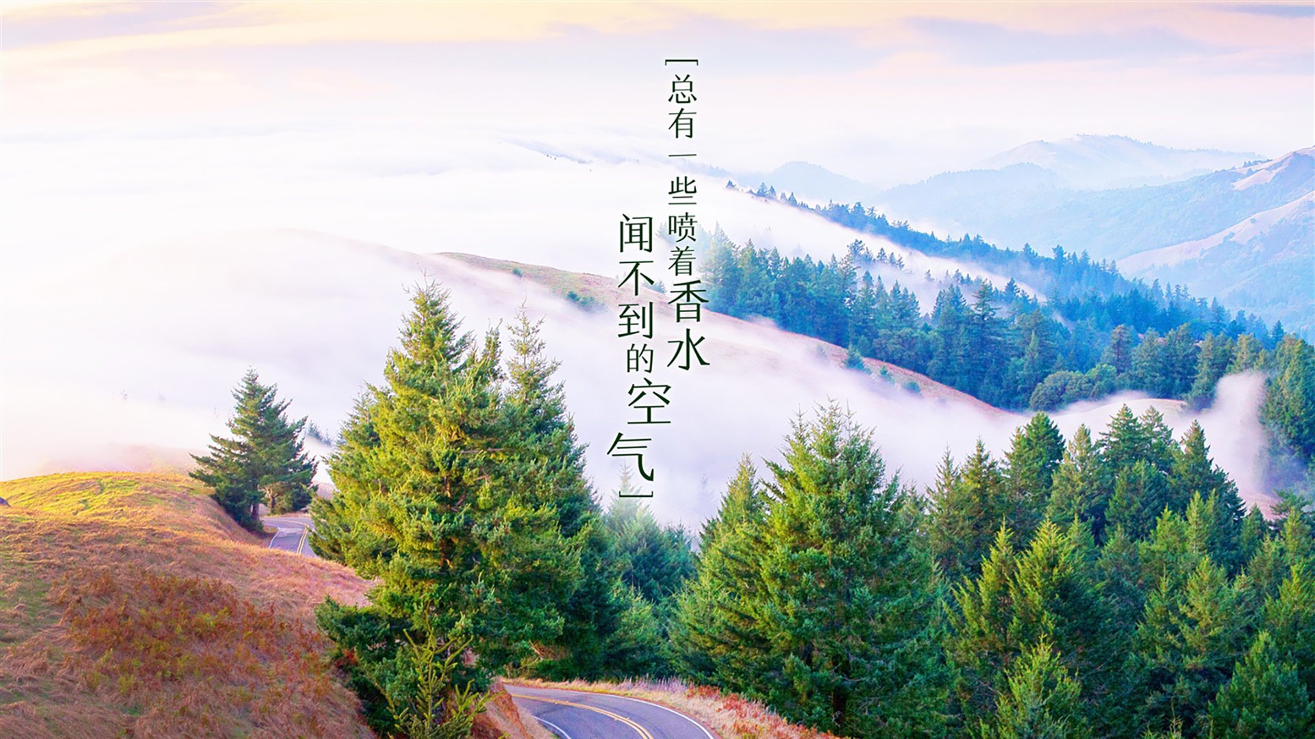 中国篮球教练员职业发展规划及培训体系，篮球教练员职业生涯规划