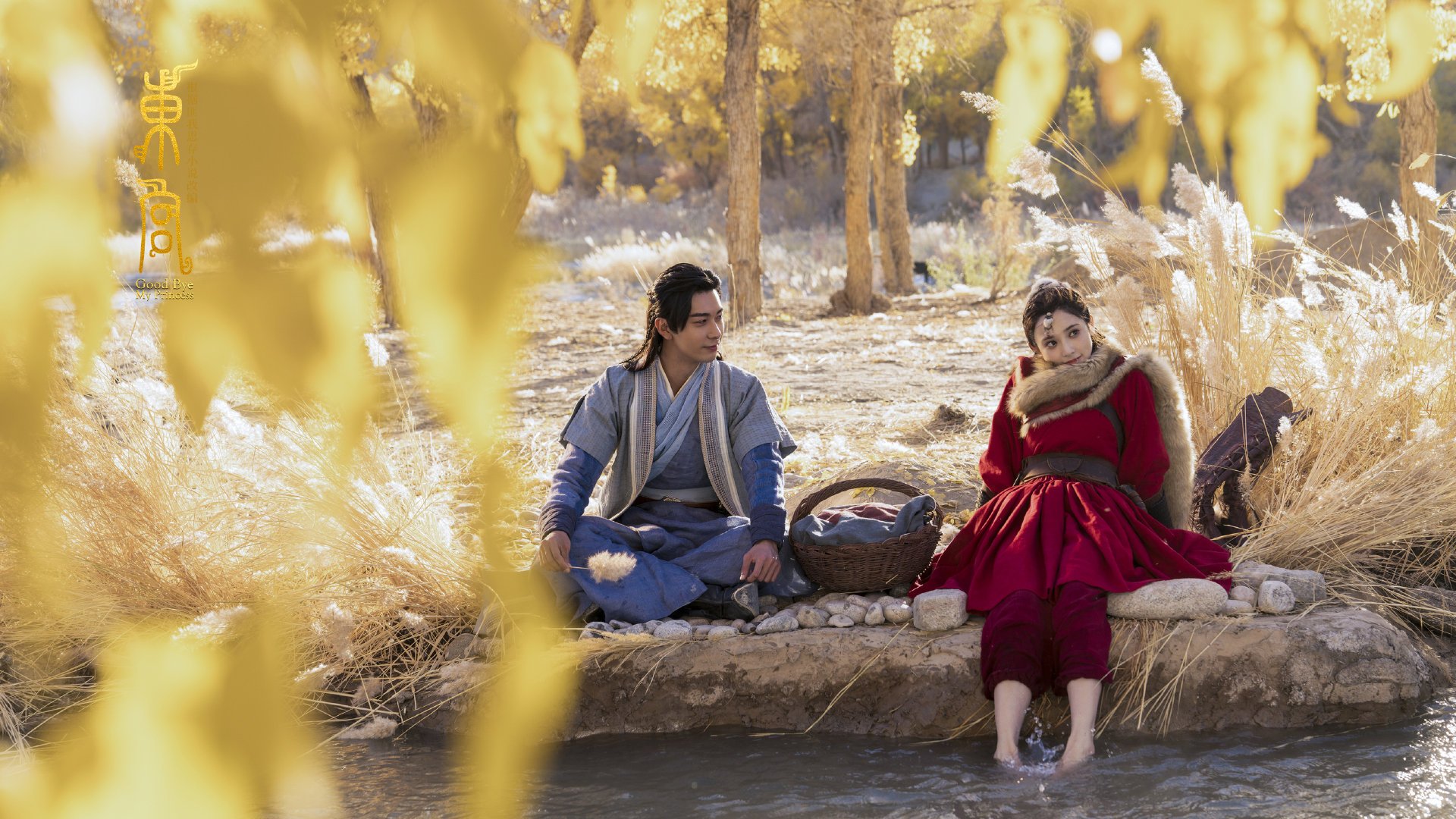 澳大利亚“飞鱼”麦克沃伊强势回归